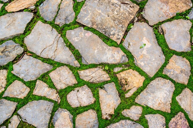 Zdjęcie droga flagstone