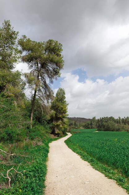 Droga gruntowa i zielone pole na tle chmur w Izraelu