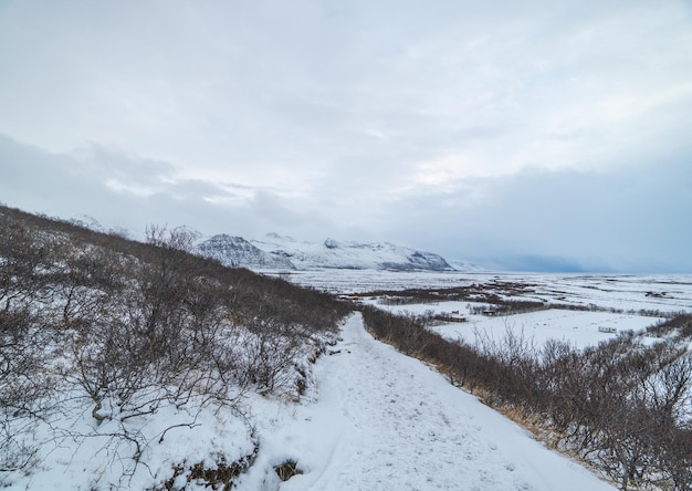 Droga i krajobraz w kierunku wodospadu Svartifoss całkowicie pokryte śniegiem z brązowymi krzewami