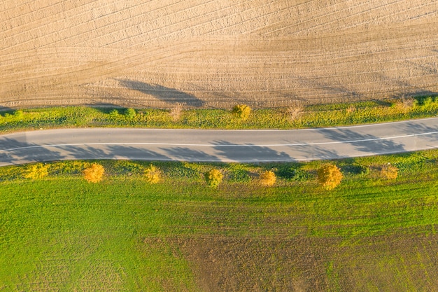 Droga między zieleni polem a uprawną ziemią z żółtymi drzewami przy zmierzchem w jesieni. Widok z lotu ptaka na pustym asfaltowym żużlu lub drzewo alei.