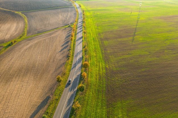 Droga między zieleni polem a uprawną ziemią z żółtymi drzewami przy zmierzchem w jesieni. Widok z lotu ptaka na żużlu lub alei drzew. Koncepcja rolnictwa.