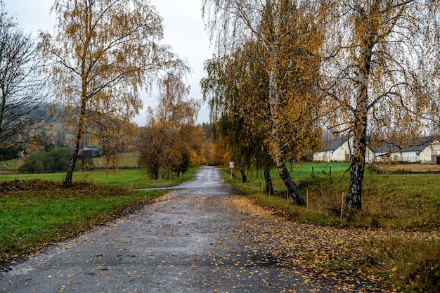 Droga na wsi jesienią.