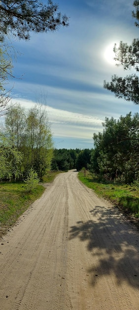 Droga pośród drzew na tle nieba