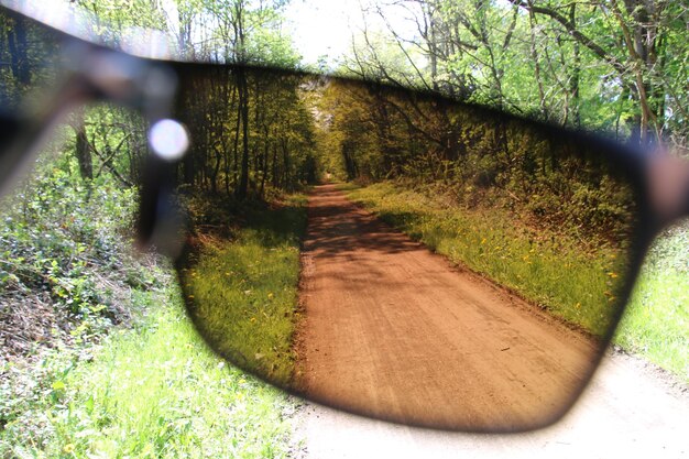 Zdjęcie droga pośród drzew w lesie widziana przez okulary przeciwsłoneczne