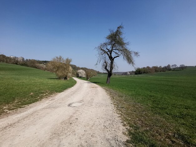 Zdjęcie droga pośrodku pola na czyste niebo