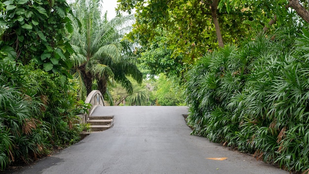 Zdjęcie droga przez most w ogrodzie suan luang rama ix park publiczny bangkok tajlandia tło