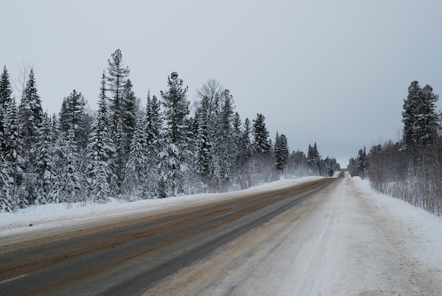 Droga przez zimowy las w pochmurny styczniowy poranek Zachodnia Syberia Rosja