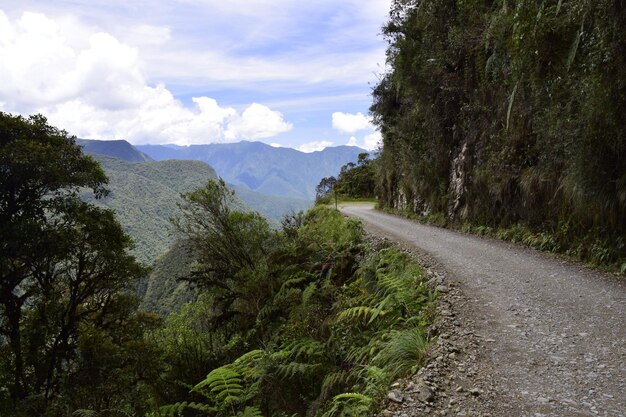 Droga śmierci Camino de la Muerte Yungas North Road między La Paz i Coroico Boliwia