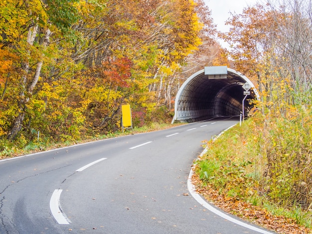 Droga, tunel i jesienny kolor lasu