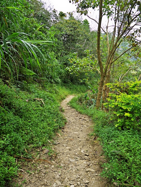 Droga w górach w Banaue na Filipinach