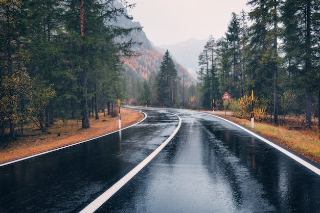 Droga w lesie jesienią w deszczu. Idealna górska droga asfaltowa w pochmurny deszczowy dzień