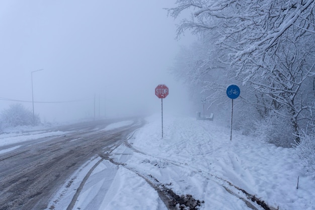 Droga W Lesie Zimą śnieg Sceny