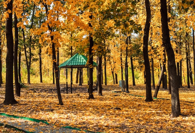 Droga W Parku Prowadzi Do Altanki. Jesienny Park Drzew I Opadłych Liści Jesienią Na Ziemi W Parku W Słoneczny Dzień Października.