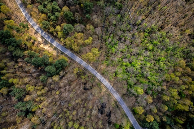 Droga w wiosennym lesie Widok z lotu ptaka