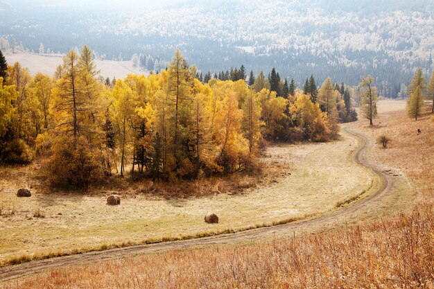 Droga Wśród Gór Ałtaju. Jesień