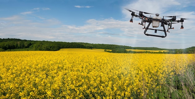 Dron opryskiwacza przelatuje nad polem rzepaku pod błękitnym niebem z chmurami Inteligentne rolnictwo i rolnictwo precyzyjne