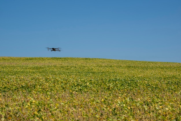 Drone Lecący Nad Plantacją Soi W Słoneczny Dzień W Brazylii.