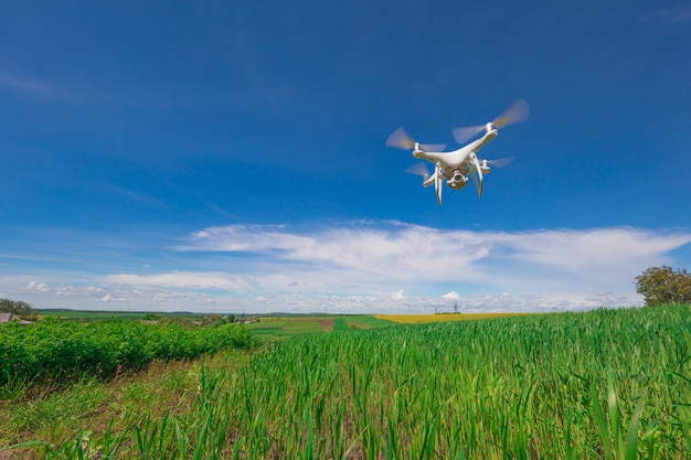 Drone Quad Helikopter Na Zielonym Polu Kukurydzy