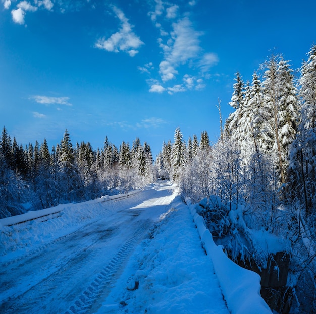 Drugorzędna wiejska droga alpejska do odległej górskiej wioski przez zaspy śnieżne w lesie jodłowym i drewniany płot na poboczu