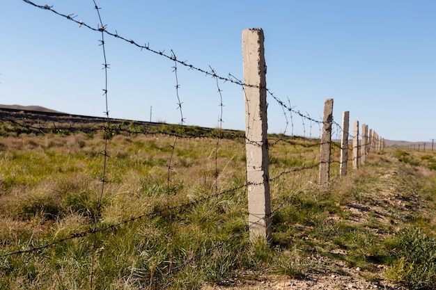 Zdjęcie drut kolczasty mongolia