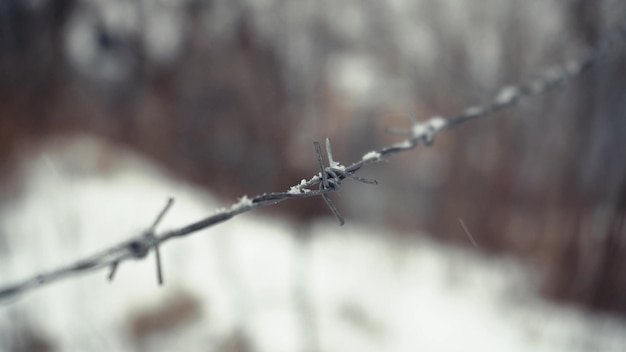 Drut kolczasty pod śniegiem przeznaczone do walki radioelektronicznej Koncepcja niebezpieczeństwa Szczegóły więzienia w śnieżnej pogodzie