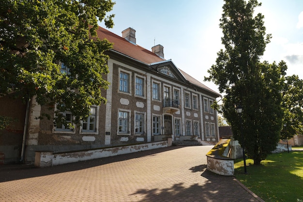 Drzewa budujące przeciwko niebu