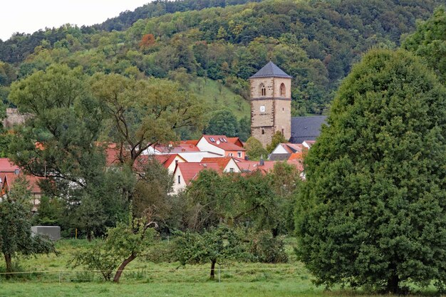 Zdjęcie drzewa i budynki na tle nieba