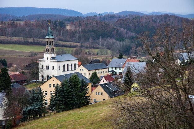 Zdjęcie drzewa i budynki na tle nieba