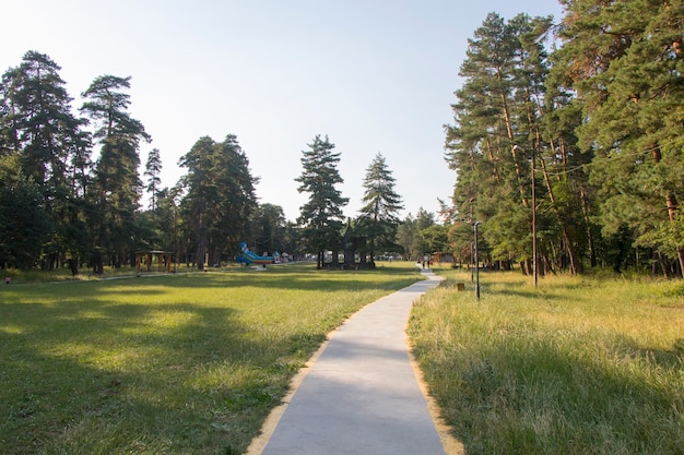 Drzewa i chodnik w parku, park w Manglisi, Gruzja