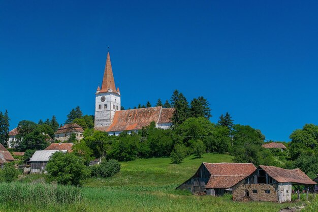 Zdjęcie drzewa i domy na tle niebieskiego nieba