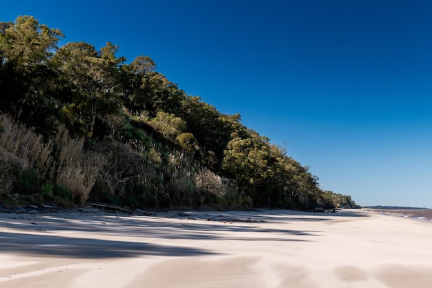 Drzewa i roślinność na wąwozach blisko plaży w Kiyu San Jose Urugwaj