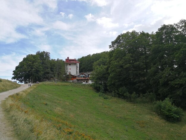 Zdjęcie drzewa i rośliny na polu na tle nieba