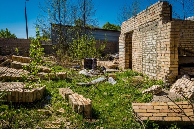 Zdjęcie drzewa i rośliny rosnące na zewnątrz budynku