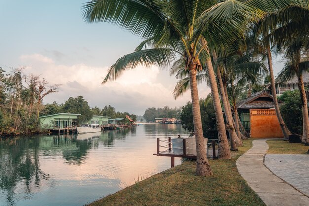 Drzewa kokosowe i chodnik przy kanale rano