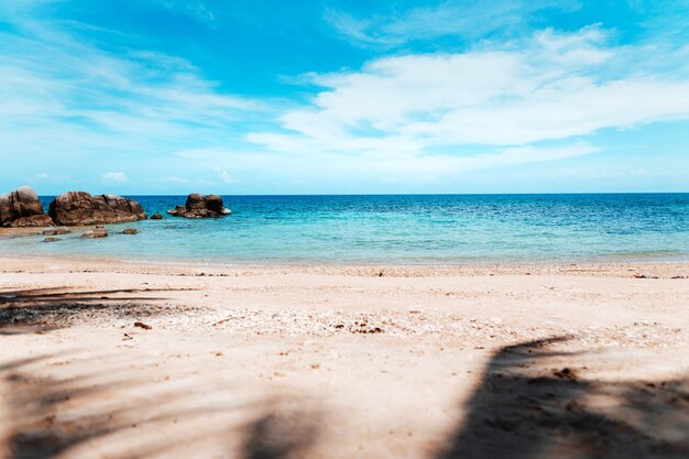 Drzewa kokosowe i tropikalna plaża w lecie