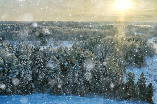 drzewa las mróz widok z góry tło, abstrakcyjny widok drona natura sezonowa zima świerk
