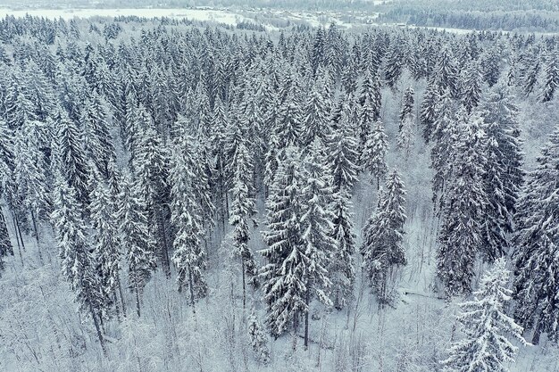 drzewa las mróz widok z góry tło, abstrakcyjny widok drona natura sezonowa zima świerk