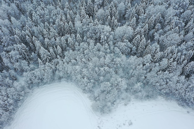 drzewa las mróz widok z góry tło, abstrakcyjny widok drona natura sezonowa zima świerk