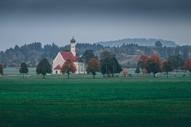 Zdjęcie drzewa na polu przeciwko niebu