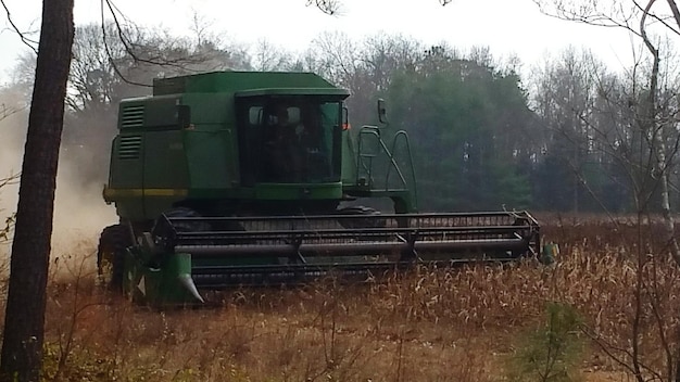 Zdjęcie drzewa na polu