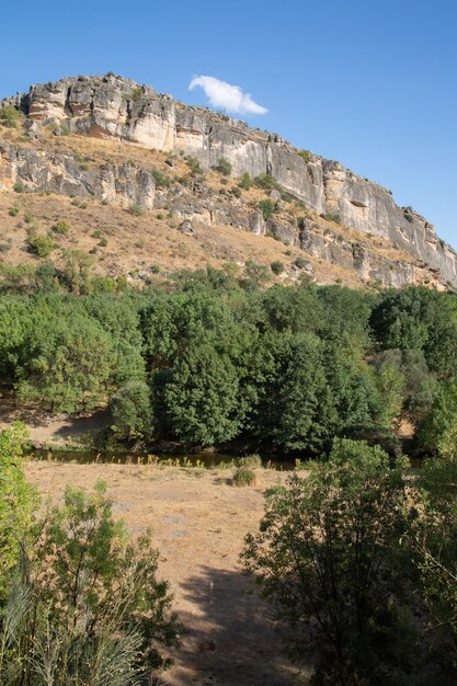 Drzewa w dolinie w Panton de la Oliva Reservoir, Madryt, Hiszpania