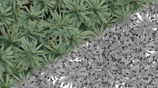 drzewa w tropikalnej dżungli widok obszaru renderowania cg ilustracji 3D