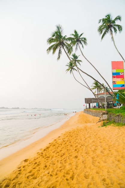 Drzewka palmowe na brzeg ocean indyjski na plaży w Hikkaduwa, Sri Lanka.