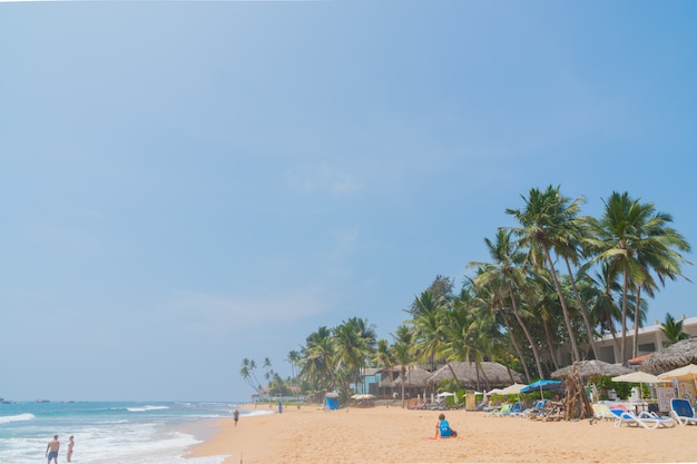 Drzewka palmowe na brzeg ocean indyjski na plaży w Hikkaduwa, Sri Lanka.