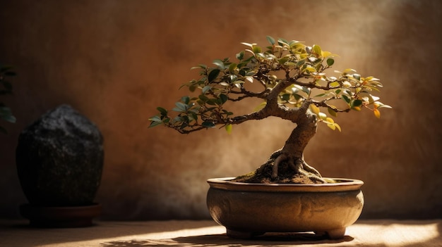 Drzewko bonsai w doniczce z napisem bonsai
