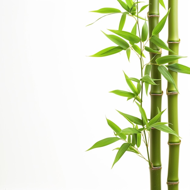 Drzewo bambusowe liście rośliny łodygi i kij 3d drzewo bambusa Ai Generative