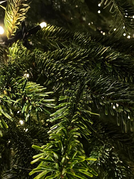 Drzewo bożonarodzeniowe z światłami i bokeh na tle Bożego Narodzenia lub Nowego Roku