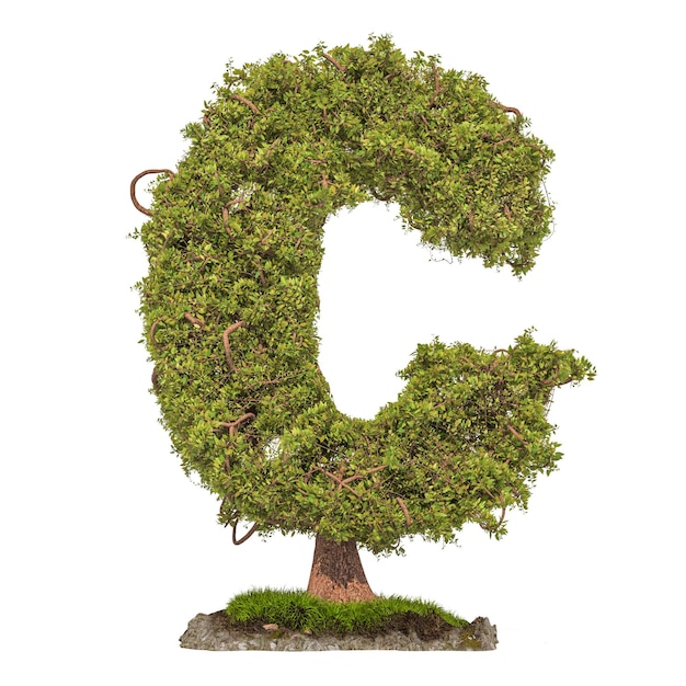 Zdjęcie drzewo litera c drzewo w kształcie litery c renderowania 3d