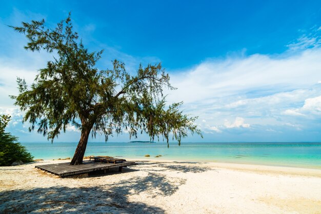 Drzewo na plaży na wyspie Koh MunNork, Rayong, Tajlandia