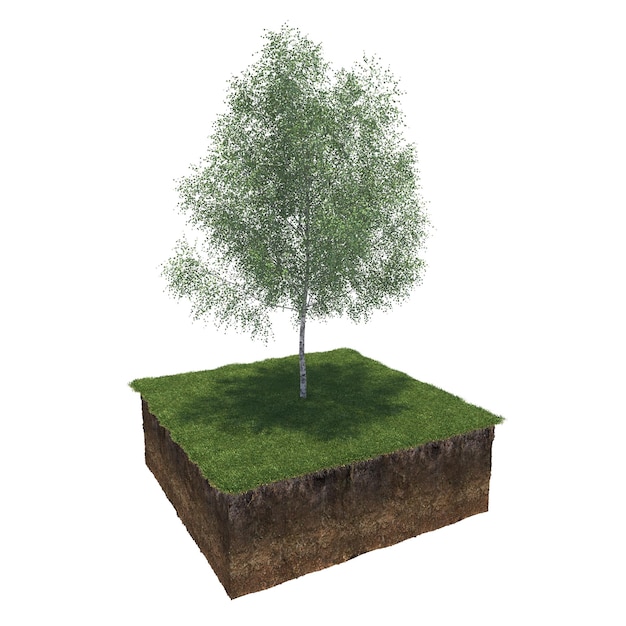 drzewo na trawie i kawałek ziemi pod nim, render 3d